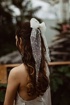 Valentina Spotty Polka Dot Hair Bow Veil Bridemaid, 3 of 4