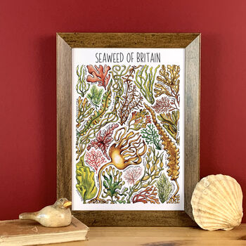Seaweed Of Britain Watercolour Postcard, 6 of 8