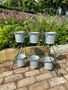 Six Pot Plant Stand, thumbnail 1 of 6