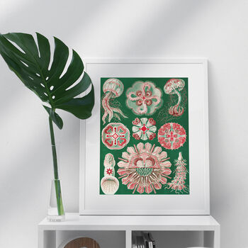 Red And Green Jellyfish Vintage Style Art Print, 3 of 4