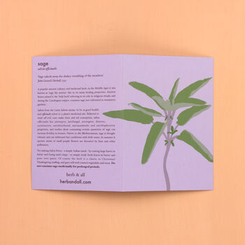 Illustrated Botanical Card With Sage Seeds, 3 of 5