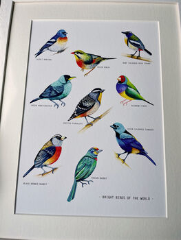 Bright Birds Of The World Illustrated Print, 2 of 6
