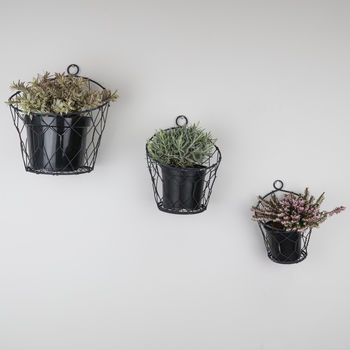 Set Of Three Royal Blue Industrial Wall Storage Baskets By Dibor ...