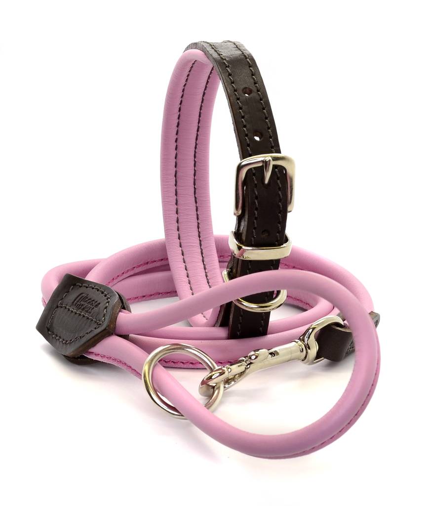 Luxury Padded Leather Dog Collar By Dogs U0026 Horses