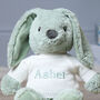 Personalised Max And Boo Large Bunny Soft Toy In Blue, Green And Chestnut, thumbnail 5 of 11