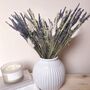 Natural Dried Lavender Arrangement With Vase, thumbnail 2 of 3