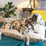Reversible Luxury Pet Dog Mattress, thumbnail 7 of 8