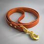Classic Leather Dog Collar And Lead Set, thumbnail 9 of 11