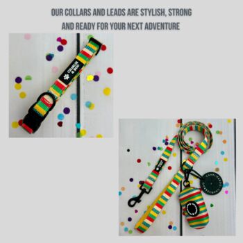 Multi Coloured Stripe Dog Collar And Lead, 3 of 6