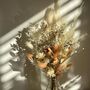 Blush Babe Dried Flower Posy With Jar, thumbnail 1 of 5