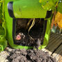 Set Of Four Reusable Potato And Vegetable Grow Bags, thumbnail 12 of 12