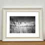 Water Reeds, Thorndon Woodland Photographic Art Print, thumbnail 1 of 4