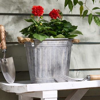 Toma Metal Planter With Rope Handles, 2 of 5