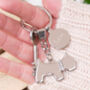 Personalised Dog Keyring With Charm, thumbnail 1 of 5
