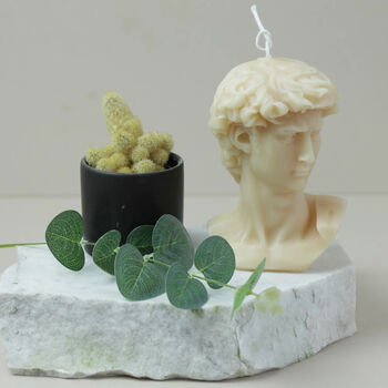 Large Bust Of David In Eco Wax, 7 of 8