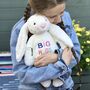 Large Bashful Bunny Soft Toy With 'Big Hugs' Jumper, thumbnail 1 of 4