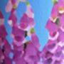 Dancing Lupins Floral Lampshade, thumbnail 6 of 8