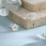 Sterling Silver Forget Me Not Flower Stud Earrings, thumbnail 3 of 11