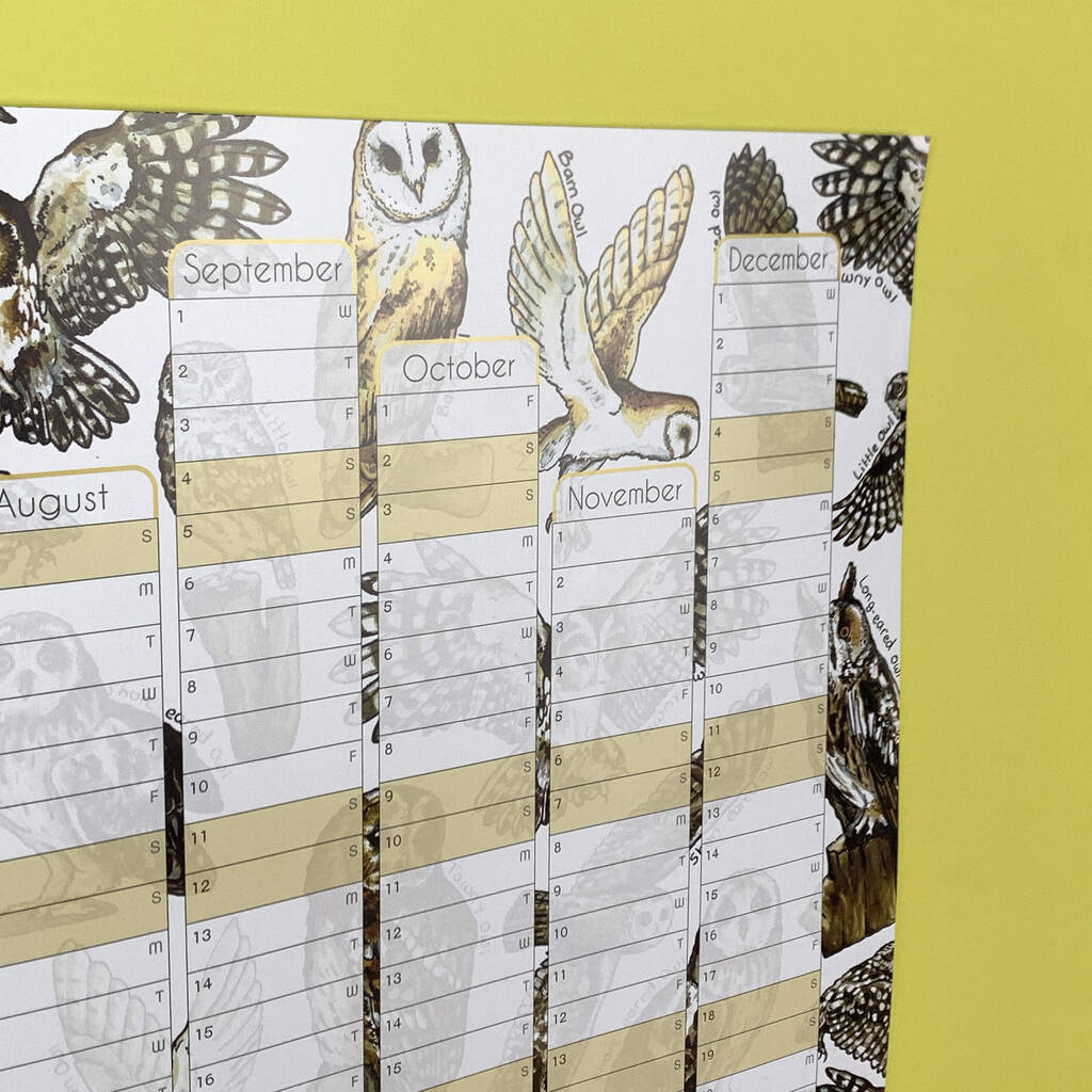 2021 Owls Wall Calendar And Year Planner By Alexia Claire
