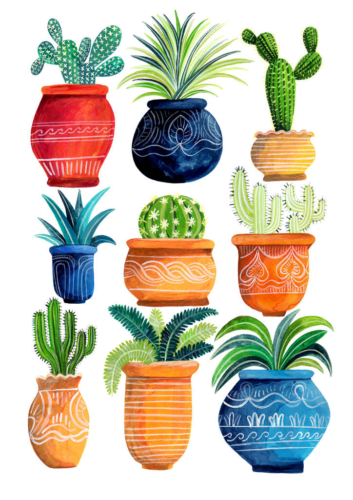 Moroccan Cactus Plant Print By Lauren Radley LTD | notonthehighstreet.com