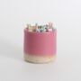 Limited Edition Fuchsia Match Striker Pot With Matches, thumbnail 4 of 6