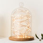 Glass Bell Jar With Copper Micro Fairy Lights, thumbnail 1 of 5