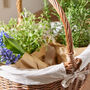 Oval Wicker Basket With White Lining, thumbnail 6 of 6
