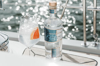 Salcombe Gin 'Start Point Offshore Strength', 4 of 5