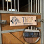 3D Horse Silhouette Stable Name Acrylic Door Sign, thumbnail 1 of 7
