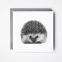 Persei The Luxury Hedgehog Blank Greeting Card, thumbnail 1 of 3