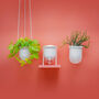 Flo, Self Watering Ceramic And Glass Wall Mount Planter, thumbnail 6 of 12