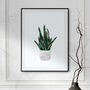 Snake Plant Gold Green Wall Art Print, thumbnail 1 of 5