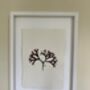 Pressed Seaweed Framed Artwork Irish Moss .01, thumbnail 3 of 4