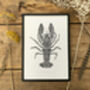 L Is For Louisville Crayfish Illustration Print, thumbnail 3 of 6