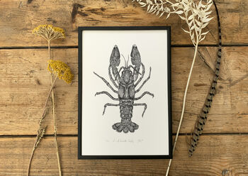 L Is For Louisville Crayfish Illustration Print, 3 of 6