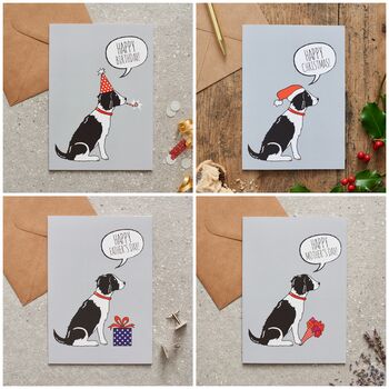 Springer Spaniel Dog Walking Socks The Perfect Gift For Dog Lovers, 12 of 12
