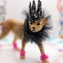 Personalised Cheetah Party Animal Cake Toppers, thumbnail 7 of 10