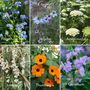 Grow Your Own Flower Garden Wall Seed Calendar 2025, thumbnail 8 of 8