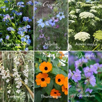 Grow Your Own Flower Garden Wall Calendar 2025, 9 of 9