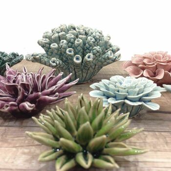 Ceramic Coral . Design Your Wall /Terrarium Garden, 8 of 12