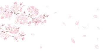 Cherry Blossom Wallpaper, 2 of 3