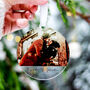 First Christmas Together Couples Tree Decoration, thumbnail 9 of 10