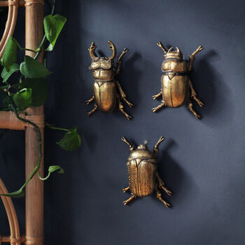 Gold Beetle Wall Ornaments, 7 of 10