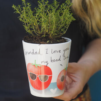 Tomato Plant Pot Gift For Dad, Grandad Or Daddy, 3 of 7