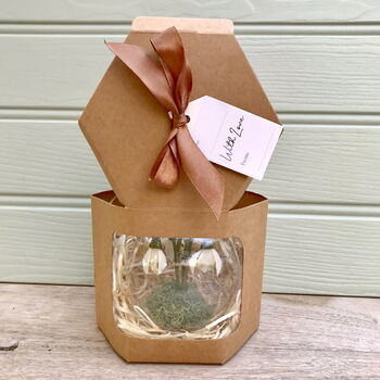 Paper Snowdrop Tiny Terrarium With Gift Tag And Box, 9 of 11