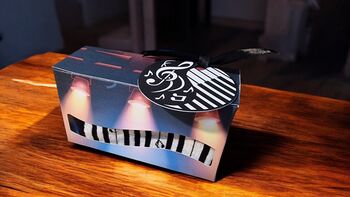 Piano Socks And Box Set, 9 of 12