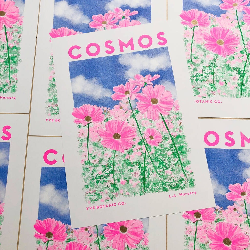 Cosmos Floral Illustration Riso Print, 1 of 5