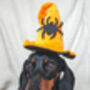 Trick Or Treat Harry Halloween Dog Harness, thumbnail 7 of 10