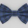Blue Check Dog Bow Tie, thumbnail 2 of 5