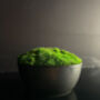 Preserved Moss In Ceramic Sugar Bowl For Table Centrepiece, thumbnail 4 of 6